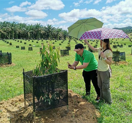 Agroforestry Group
